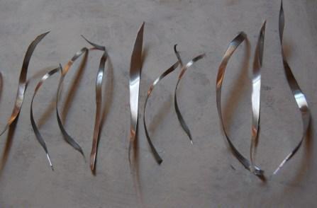 concha-hornero-jardin-de-otono