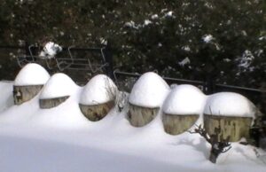 Conciertos y talleres de Navidad en el Museo de América