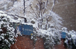 Concierto de Reyes en el Museo Sorolla