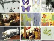La Universidad Complutense abre su Centro de Arte