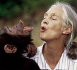 BNE, Jane Goodall