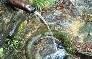 Conferencia en TEFAF 2011 sobre cómo combatir el moho y las humedades