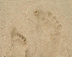 El Museo del Prado en Familia