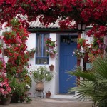 Patios-de-Cordoba