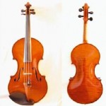 17 violín Alfred Stelzner