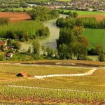 10 PAISAJE DE CHAMPAGNE