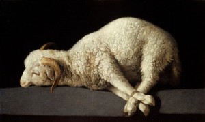 Agnus Dei, Zurbarán