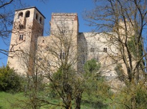 CASTILLO CASTILNOVO 2