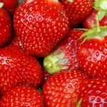 erdbeeren