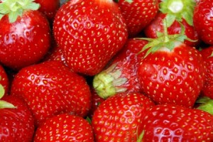 erdbeeren