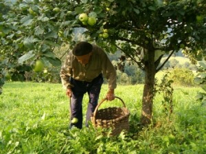 Gastronomia Oarsoaldea (3)