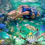 Snorkel-xel-ha