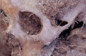 «Liminal» de Maya Watanabe en La Casa Encendida