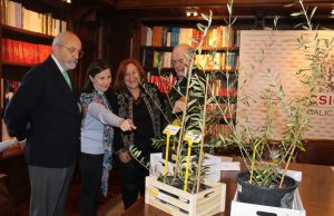 El CSIC pone en valor al olivo autóctono gallego