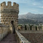 Castillo Manzanares El Real