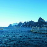 Aquicultura_Noruega_Creditos_SeafoodFromNorway