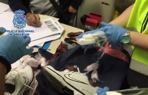 La Policía desmantela una red de tráfico de objetos de lujo