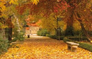 Maratón científico en el Real Jardín Botánico