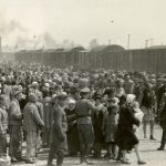 Seeing Auschwitz1