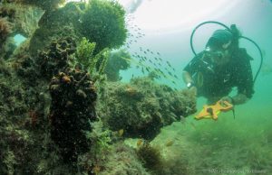 España y México volverán a buscar lo restos del navío Juncal