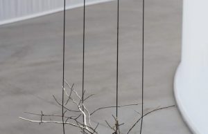 Daniel Steegmann Mangrané gana el Premio de Arte Catalina d’Anglade