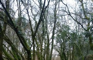 El Camino de Santiago más seguro