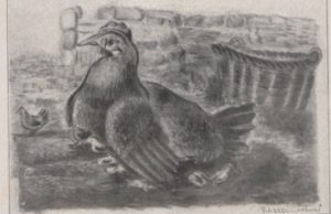 Cada día un cuento “Cuando yo era niño” Ramón y Cajal Online BNE