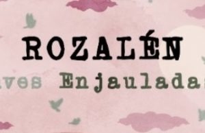 Rozalén canta «Aves enjauladas» y ofrece los beneficios a Entreculturas
