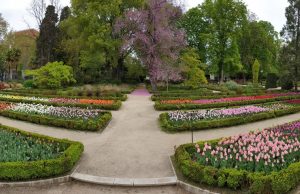 El Real Jardín Botánico se llena de color