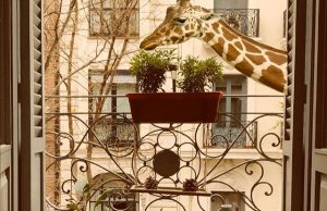 #PHEdesdemibalcón ya ha seleccionado las 10 fotografías ganadoras