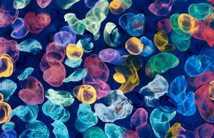 La Casa Encendida vuelve en julio