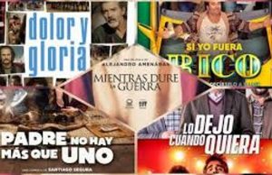 Subtitulado especial y audiodescripción, requisitos para ayudas al cine