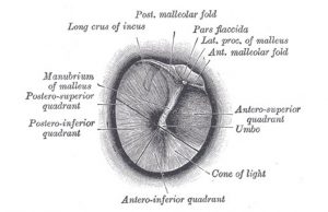 Acércate al arte sonoro con Tímpano en el Museo Reina Sofía