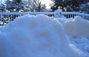 La borrasca Filomena paraliza la vida cultural