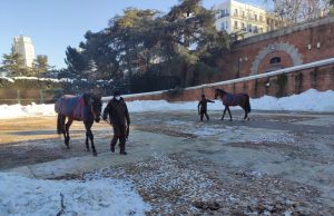 Limpias de nieve las Reales Caballerizas del Palacio Real de Madrid