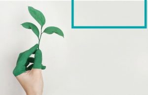 Mecenazgo de competencias para la sostenibilidad del sector cultural