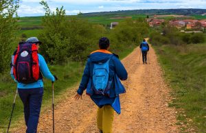 Laboratorio rural de desarrollo sostenible en torno al Camino de Santiago