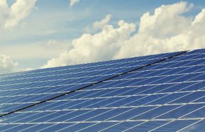 Concurso de la RAE sobre neologismos y tecnicismos medioambientales