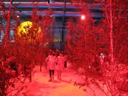Un bosque rojo emerge en la sala VIP de ARCOmadrid 2021