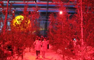 Un bosque rojo emerge en la sala VIP de ARCOmadrid 2021