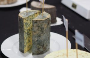 El azul Savel se convierte en el mejor queso de España