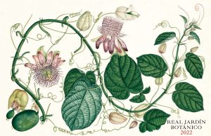 Passifloras para el calendario 2022 del Real Jardín Botánico
