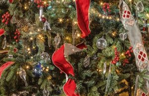 Fiestas en la Real Academia de Bellas Artes de San Fernando