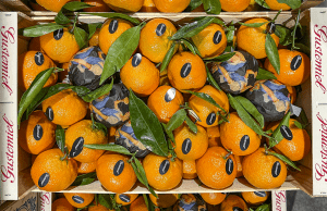 La gráfica de las frutas protagoniza una nueva exposición en CentroCentro