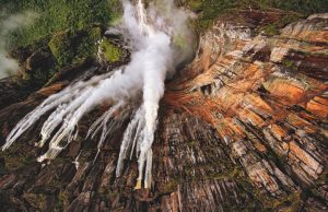 Rodolfo Gerstl muestra la fuerza y fragilidad del ecosistema