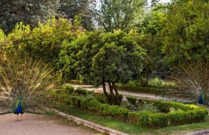 «Los martes en Palacio», programa de conferencias de Patrimonio Nacional