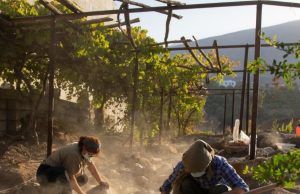 Cultura convoca ayudas para proyectos de arqueología en el exterior