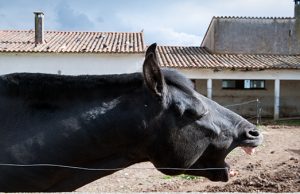 La exposición «Pueblos de colonización» llega a Fundación Cerezales