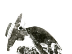 Malvin Gallery expone «Fashion Victim» del fotógrafo Pedro Giménez