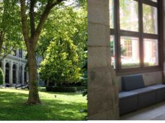 El Museo Reina Sofía refugio climático entre obras de arte